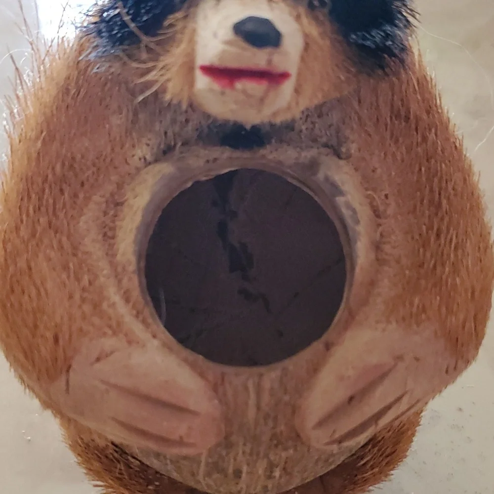 Vintage Raccoon Coconut Vase